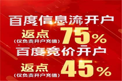大型企业SEM外包实战案例
